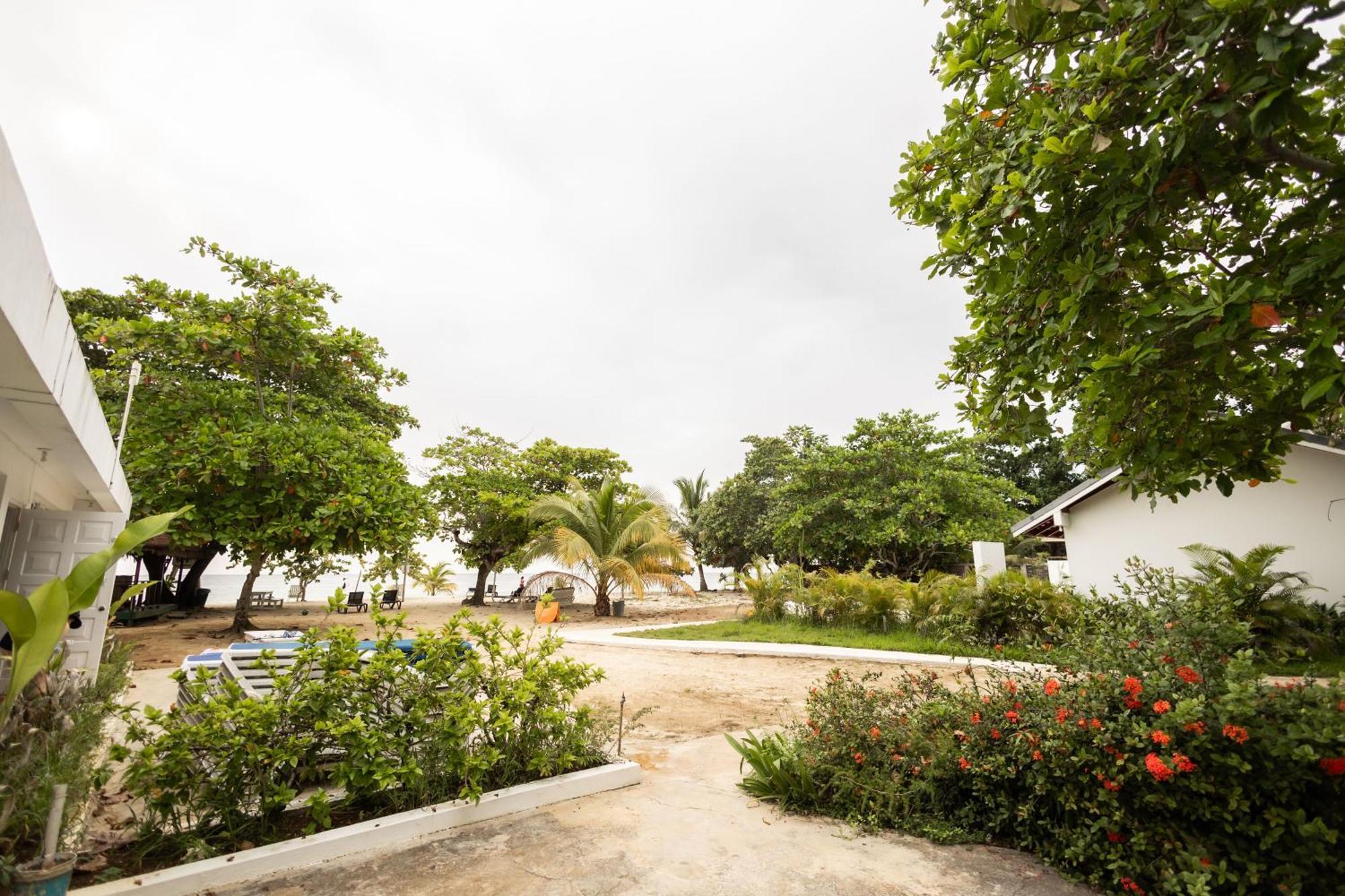 Yellow Bird Sea Negril Exterior foto